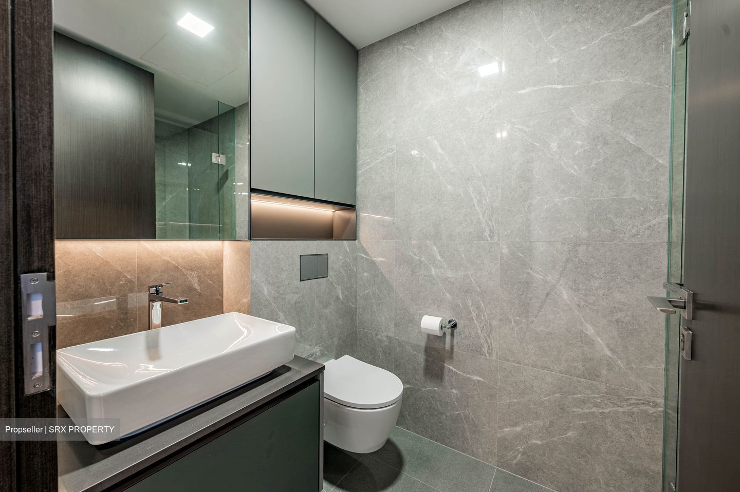 Irwell Hill Residences (D9), Apartment #585012861